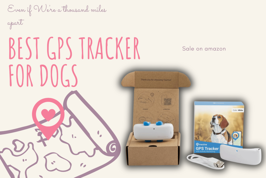 best gps tracker for dogs