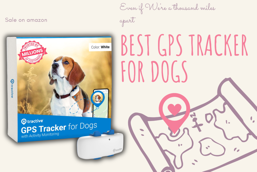 best gps tracker for dogs