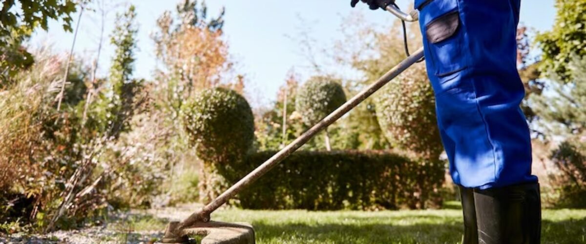 imgi_1_gardener-with-weedwacker-cutting-grass-garden_329181-20539